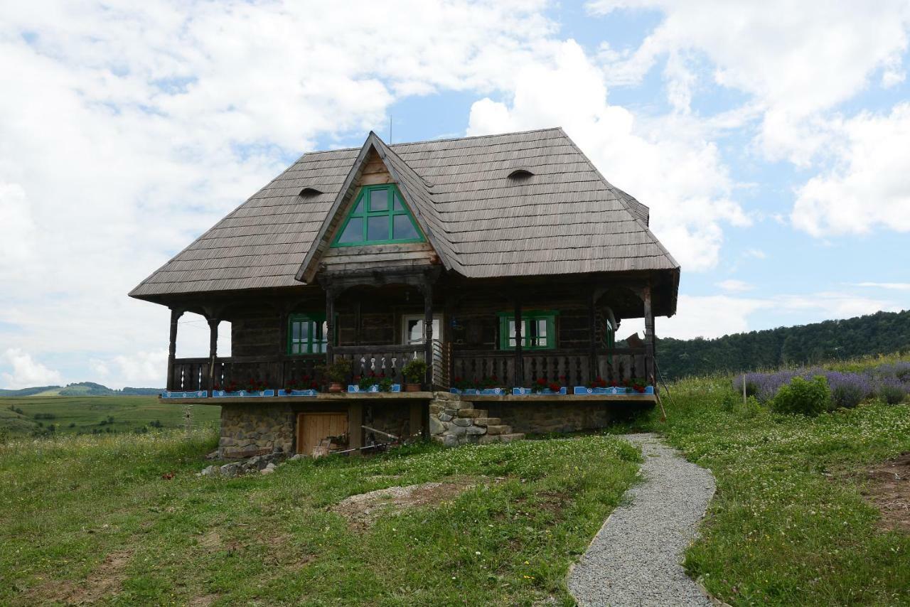Maison d'hôtes Casa Glod à Glod  Extérieur photo